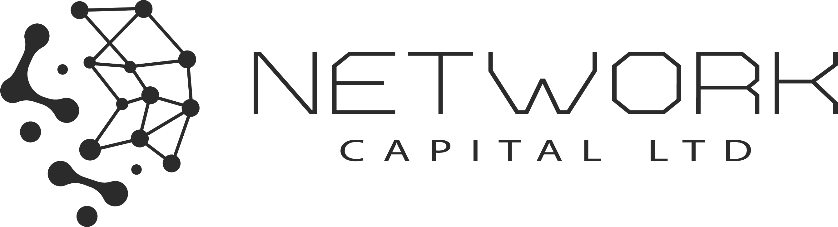 NETWORK CAPITAL LTD